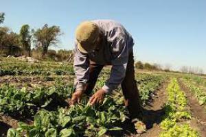 Bsquedas de Trabajo  SE OFRECE CABALLERO PARA CASERO